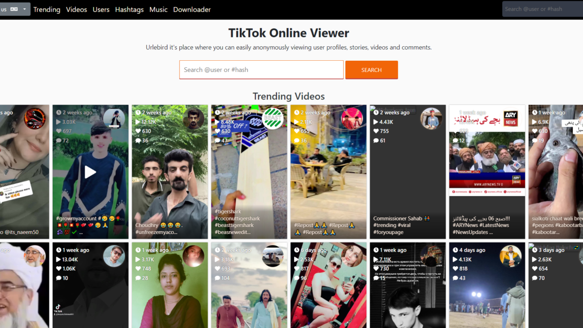 UrleBird: The Ultimate TikTok Online Viewer Experience