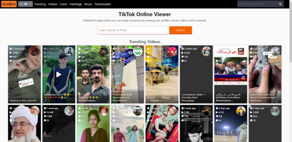 UrleBird: The Ultimate TikTok Online Viewer Experience