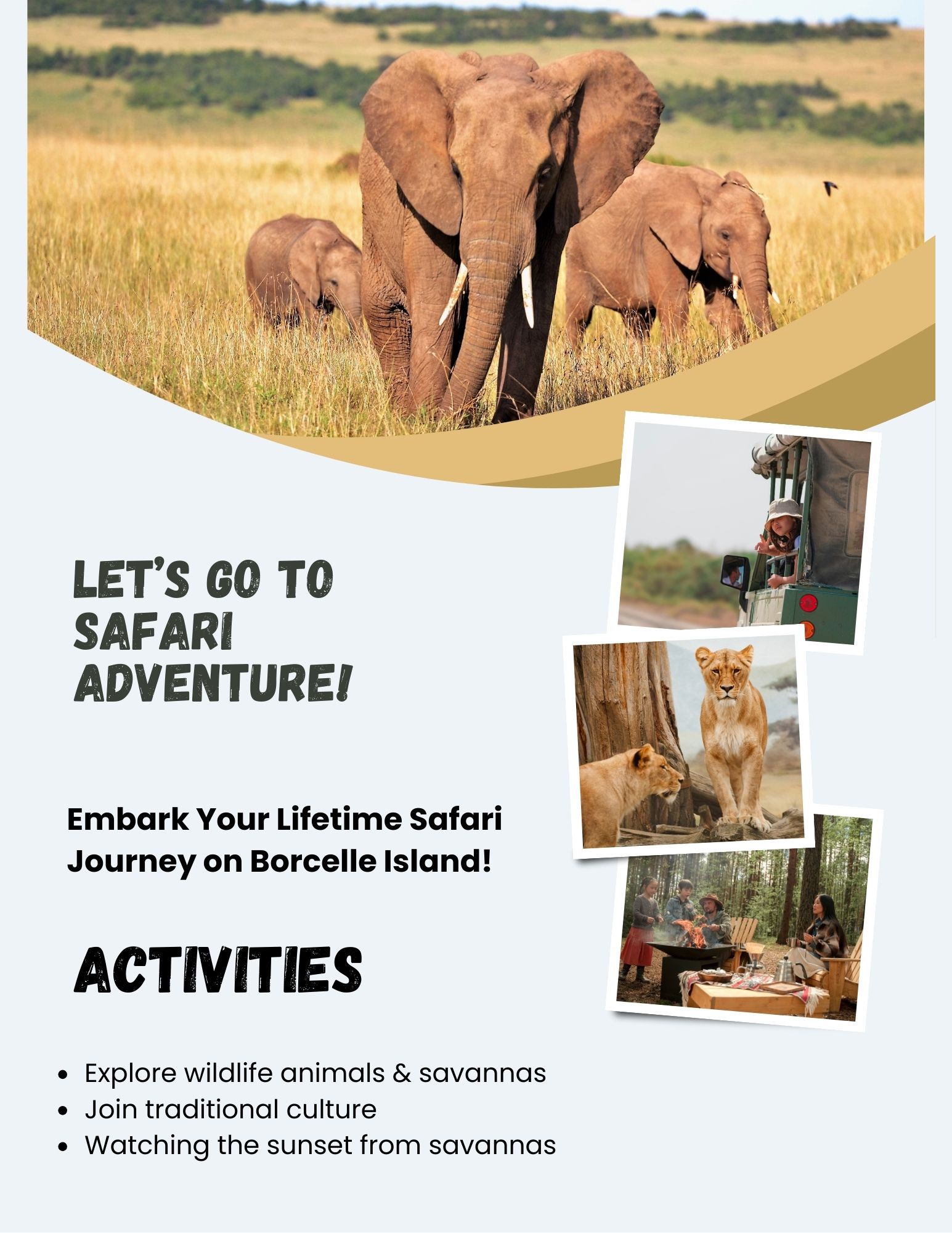 reality tours and safaris