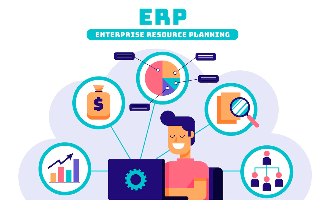 erp consultant​