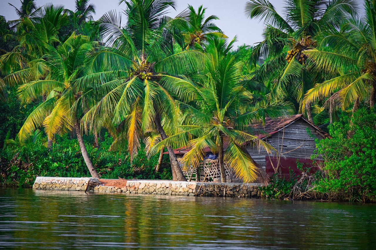 Kerala Itinerary 10 Days | Explore Backwaters & Wildlife Now kerala itinerary 10 days