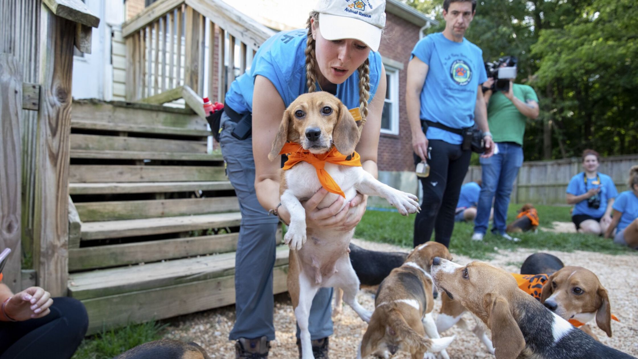 Could Reputable Dog Rescues Change a Dog’s Life? reputable dog rescues