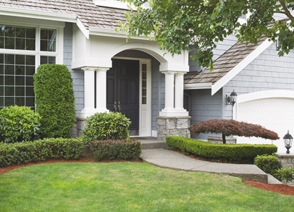5 Reasons Why Professional Landscaping Adds Value to Your Home