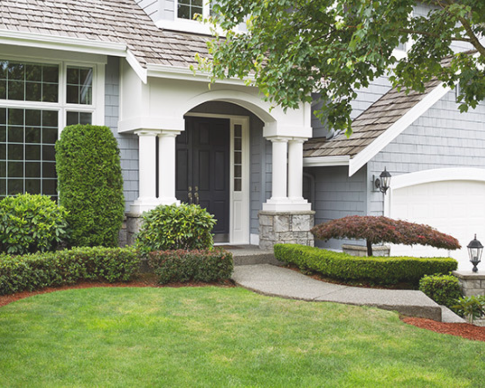 professional landscaping